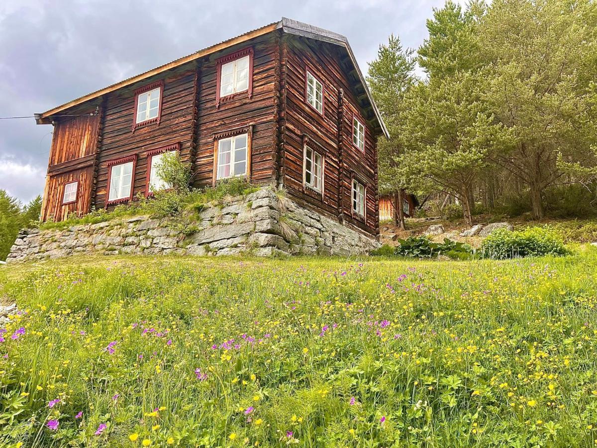 Reinheimen Lodge Skjåk Kültér fotó