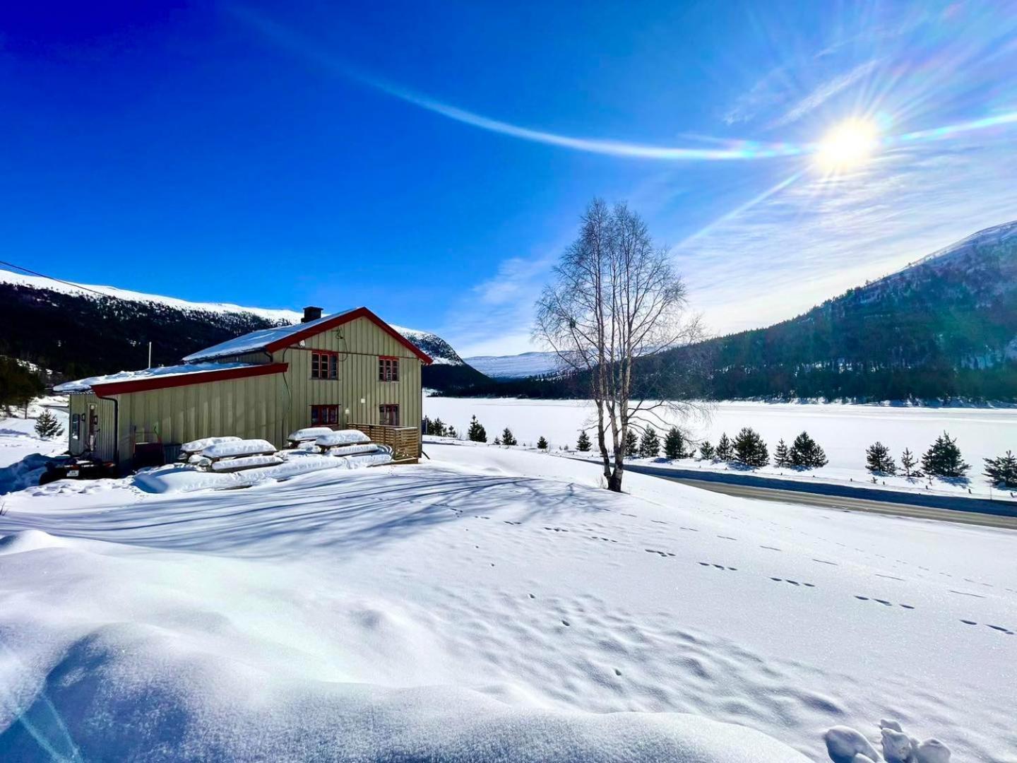 Reinheimen Lodge Skjåk Kültér fotó