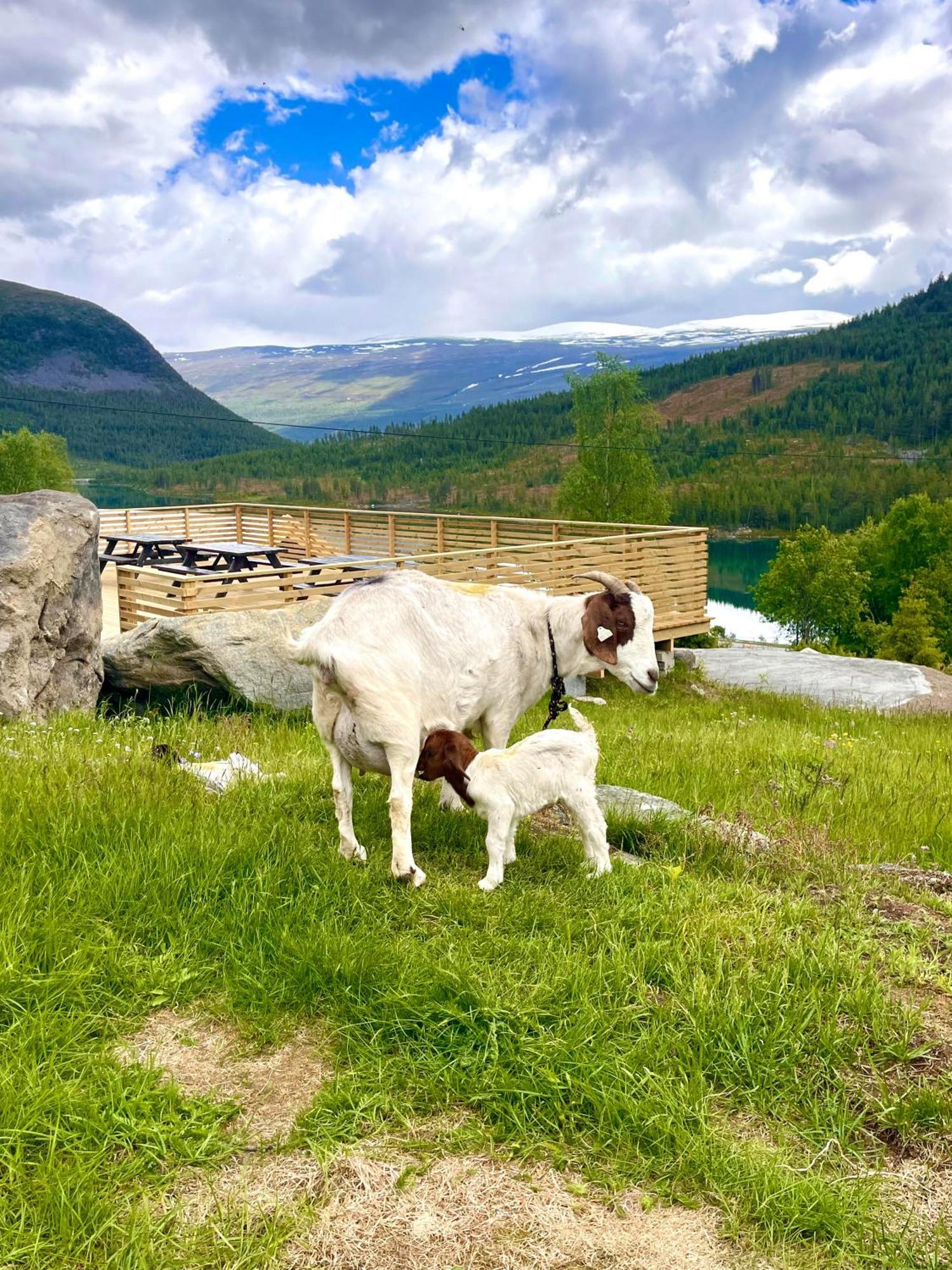 Reinheimen Lodge Skjåk Kültér fotó